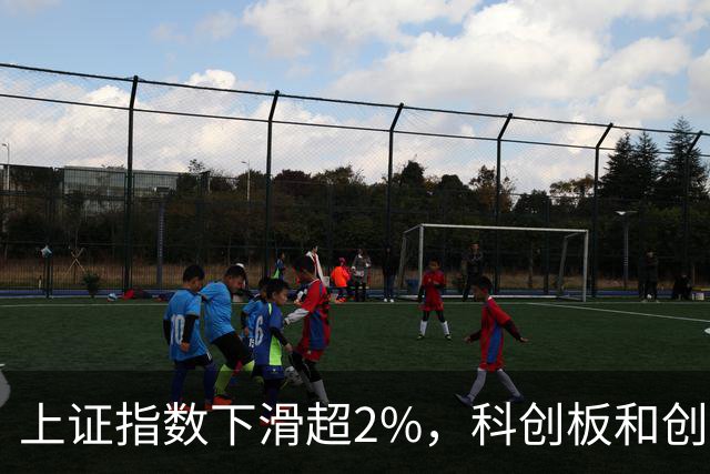 上证指数下滑超2%，科创板和创业板均遭重挫