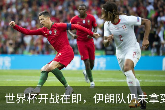 世界杯开战在即，伊朗队仍未拿到美国签证