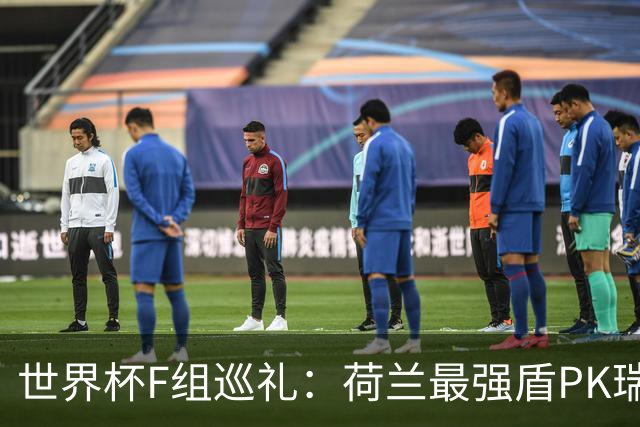 世界杯F组巡礼：荷兰最强盾PK瑞典犀利刀 日本短板明显