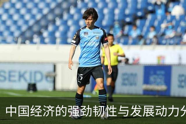 中国经济的强劲韧性与发展动力分析