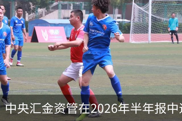 中央汇金资管在2026年半年报中退出中石油和中石化前十大股东