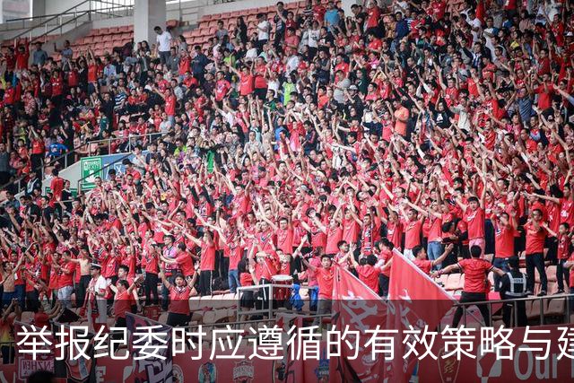 举报纪委时应遵循的有效策略与建议