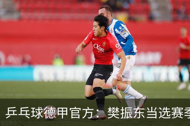 乒乓球德甲官方：樊振东当选赛季最佳 助队荣膺三冠王
