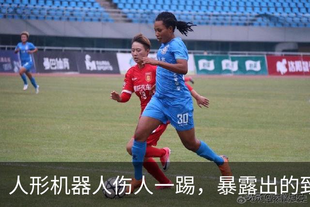 人形机器人伤人一踢，暴露出的致命安全盲区