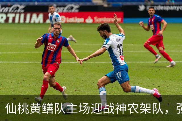 仙桃黄鳝队主场迎战神农架队，强势进攻能否拿下关键三分？