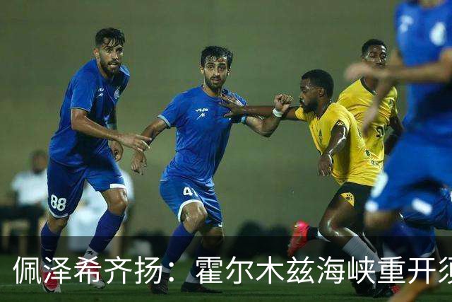 佩泽希齐扬：霍尔木兹海峡重开须美方履行承诺
