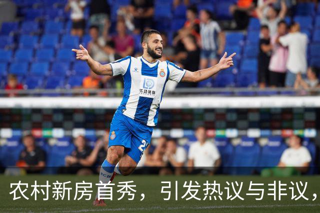 农村新房首秀，引发热议与非议，网友热评两大问题