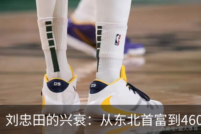 刘忠田的兴衰：从东北首富到460年监禁的背离