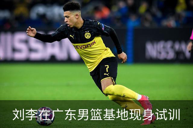 刘李在广东男篮基地现身试训