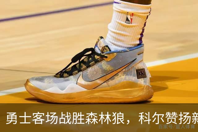 勇士客场战胜森林狼，科尔赞扬新星伦德博格，库里表现亮眼