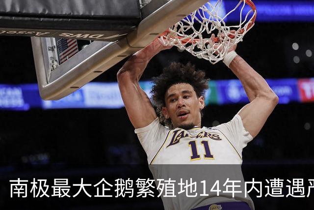南极最大企鹅繁殖地14年内遭遇严重种群减少