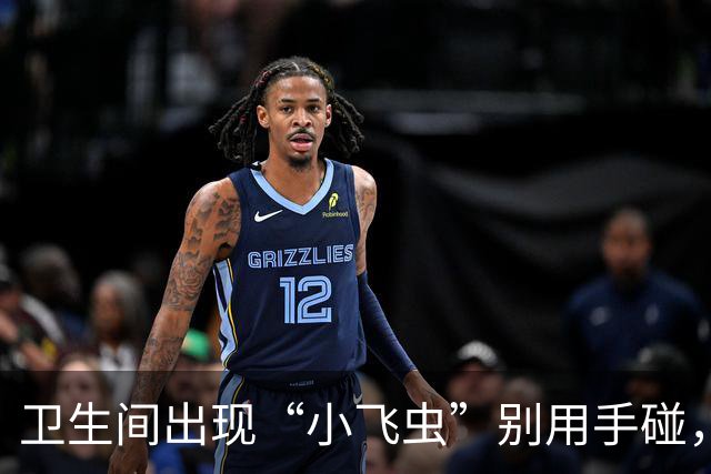 卫生间出现“小飞虫”别用手碰，如何彻底清理与预防