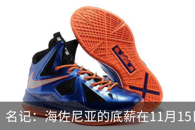 名记：海佐尼亚的底薪在11月15日之前是无保障合约