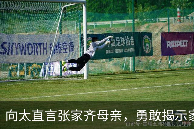 向太直言张家齐母亲，勇敢揭示家庭关系问题