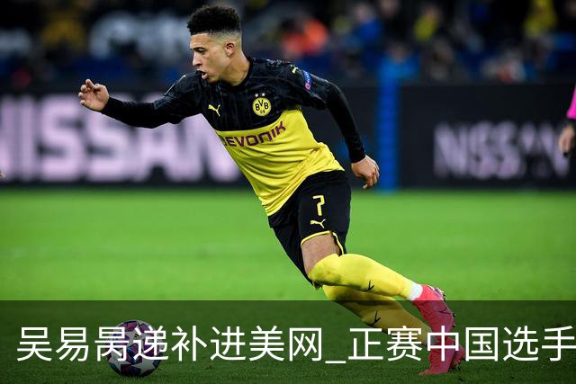 吴易昺递补进美网 正赛中国选手增至5人