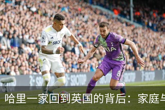 哈里一家回到英国的背后：家庭与教育的深思