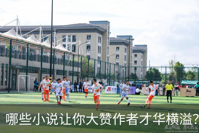 哪些小说让你大赞作者才华横溢？