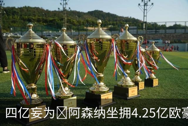 四亿妄为😤阿森纳坐拥4.25亿欧豪华6中场+4.65亿欧豪华后防线！