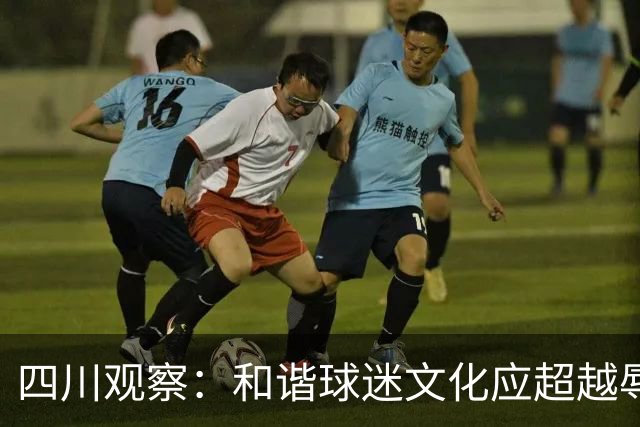 四川观察：和谐球迷文化应超越辱骂与对抗