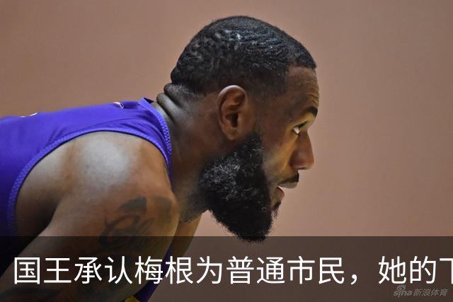 国王承认梅根为普通市民，她的下一步是什么？