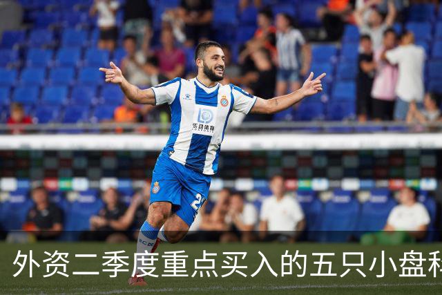 外资二季度重点买入的五只小盘科技龙头