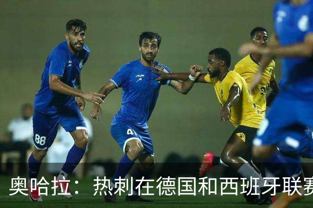 奥哈拉：热刺在德国和西班牙联赛都具竞争力