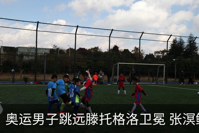 奥运男子跳远滕托格洛卫冕 张溟鲲第七王嘉男第八