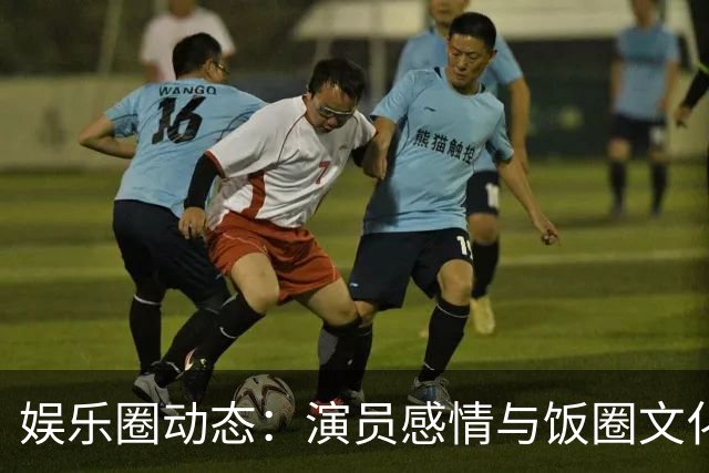 娱乐圈动态：演员感情与饭圈文化探讨