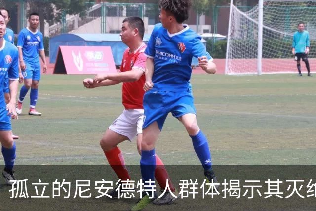 孤立的尼安德特人群体揭示其灭绝前的生存状态