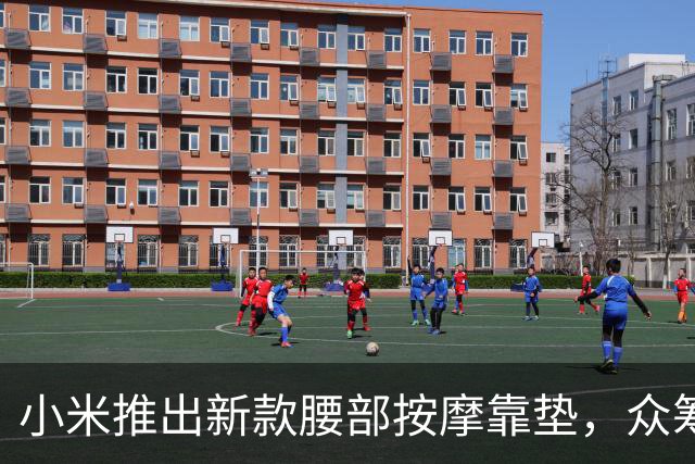 小米推出新款腰部按摩靠垫，众筹价仅需509元