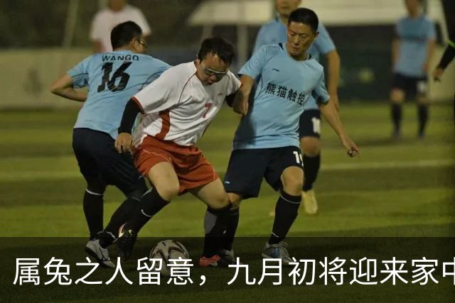 属兔之人留意，九月初将迎来家中贵人