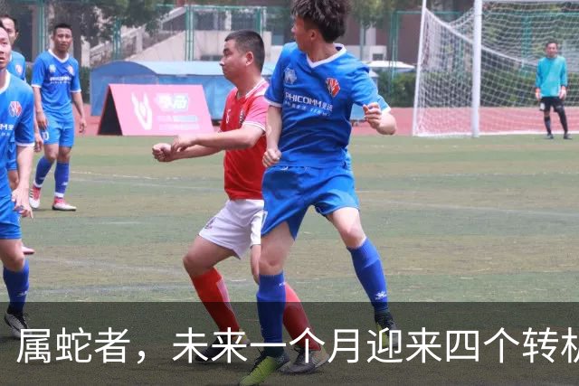 属蛇者，未来一个月迎来四个转机的预兆