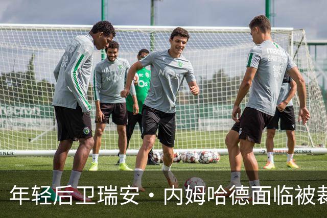 年轻后卫瑞安·内姆哈德面临被裁命运