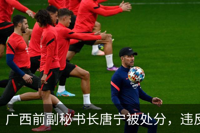 广西前副秘书长唐宁被处分，违反多项纪律