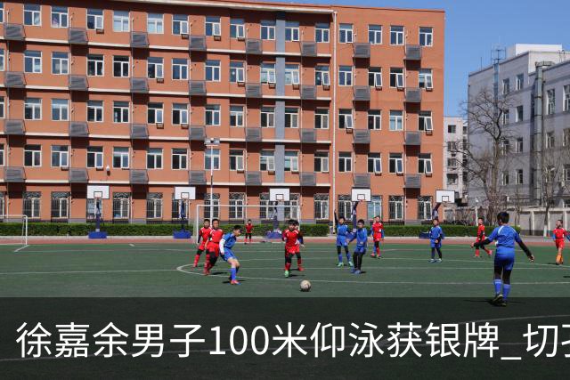 徐嘉余男子100米仰泳获银牌 切孔夺金