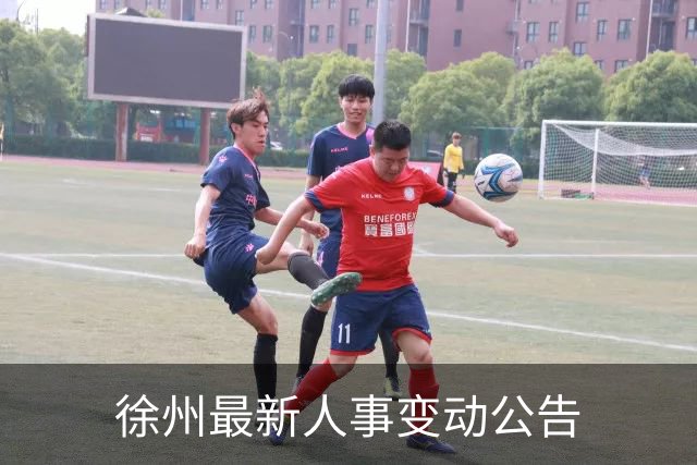 徐州最新人事变动公告