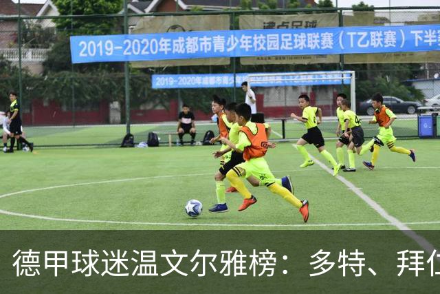 德甲球迷温文尔雅榜：多特、拜仁球迷脏话最多；帕德博恩最文明