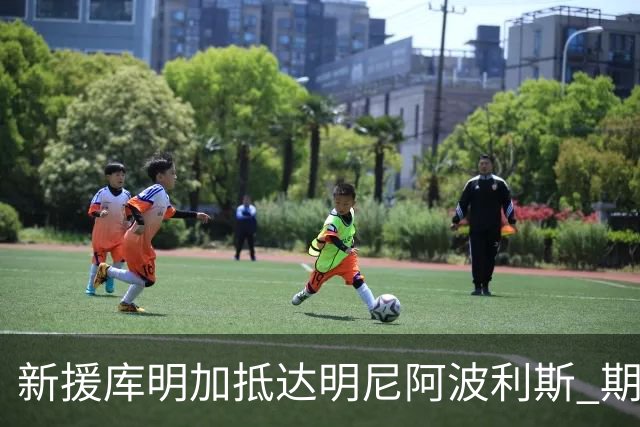 新援库明加抵达明尼阿波利斯 期待与球迷见面