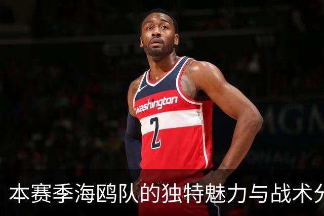 本赛季海鸥队的独特魅力与战术分析