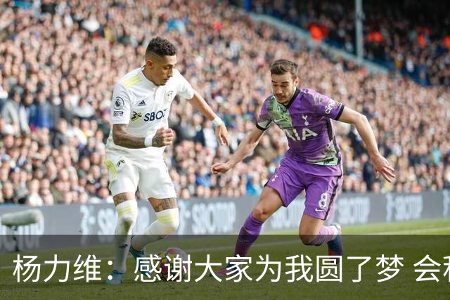 杨力维：感谢大家为我圆了梦 会积极面对伤病