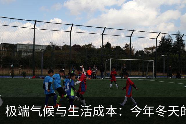 极端气候与生活成本：今年冬天的挑战