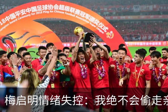 梅启明情绪失控：我绝不会偷走亲妹骨灰！