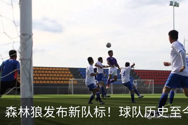 森林狼发布新队标！球队历史至今五个队标 两狼+仨哈士奇