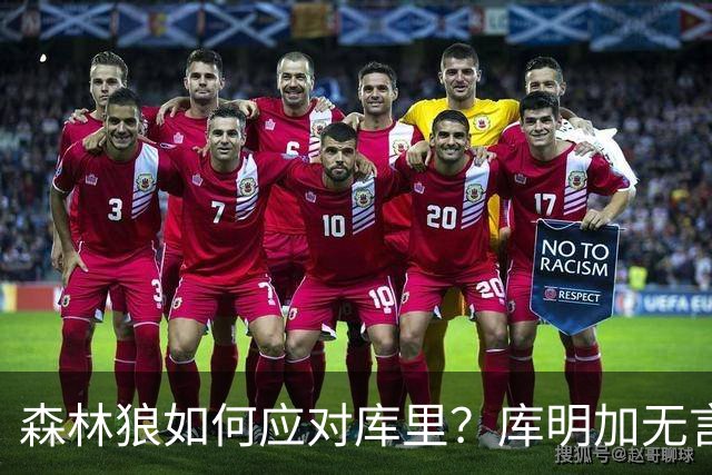 森林狼如何应对库里？库明加无言以对