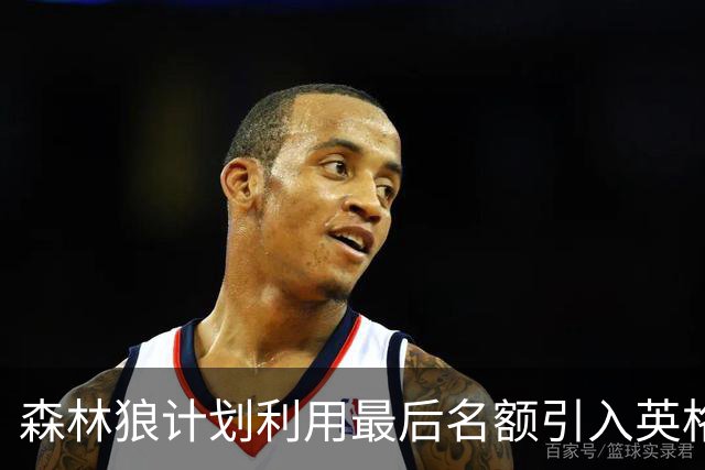 森林狼计划利用最后名额引入英格尔斯式球员