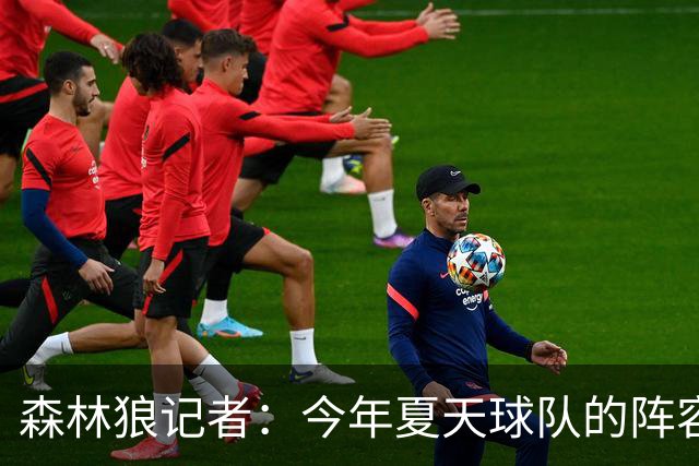 森林狼记者：今年夏天球队的阵容预计会有很大的变动