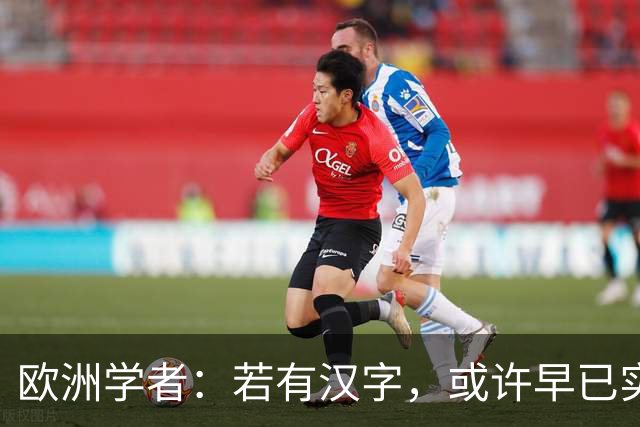 欧洲学者：若有汉字，或许早已实现统一