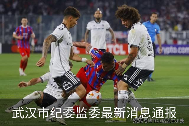 武汉市纪委监委最新消息通报