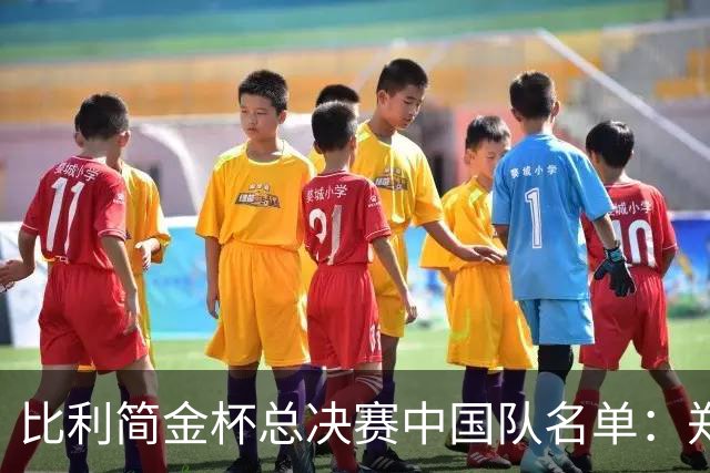 比利简金杯总决赛中国队名单：郑钦文领衔 张帅王曦雨在列