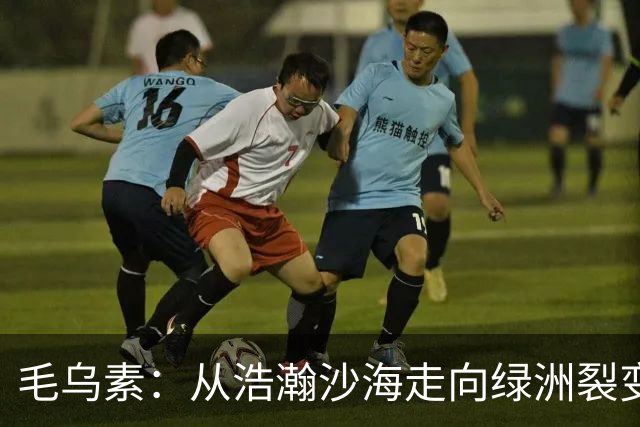 毛乌素：从浩瀚沙海走向绿洲裂变